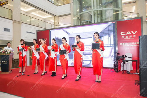 智享影音，礼遇未来 CAV智能影音山西大同体验店盛大启幕